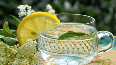 The Elderflower Is A Good Source Of Nutrition And Health