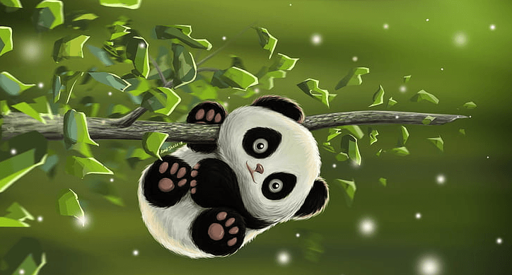 Cute:3zlu_Kbzlg0= Panda Wallpaper