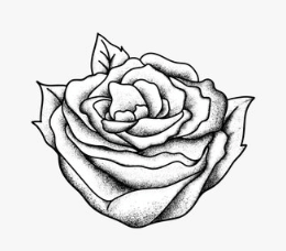 Outline:5lvuzffno7u= Roses Drawing