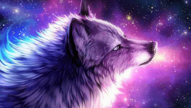 Anime:0caqsm5zscq= Galaxy Wolf