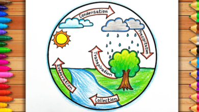 Easy:_Sx-G_Stery= Water Cycle