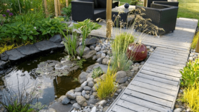 Pond Filter