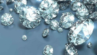 Diamond Shine That Runs in the Family: Legacy of Sparkle